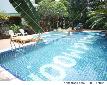 Poolside beach chairs 101647004