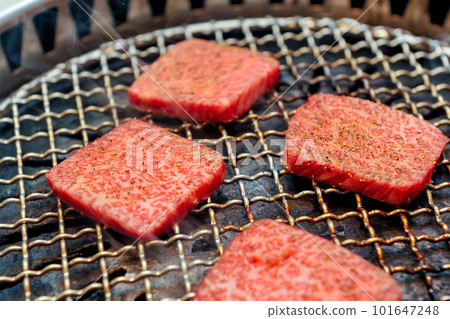 Charcoal grilled meat 101647248