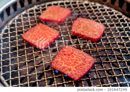 Charcoal grilled meat 101647249