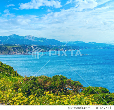 Summer Cape Vidio coastline landscape with yellow flowers in front (Asturias, Cudillero, Spain). 101647341