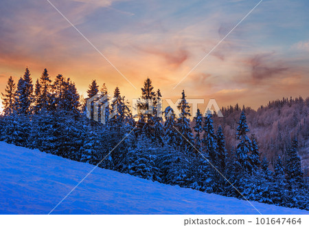Winter Ukrainian Carpathian Mountains landscape. 101647464