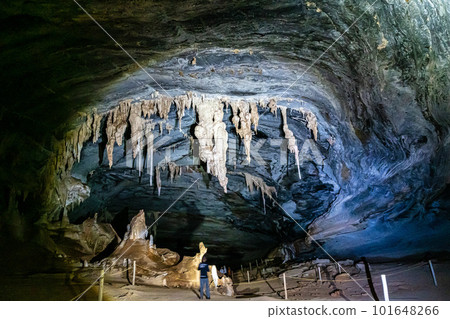 Limestone cave of stalactite and stalagmite formations, Gruta da Lapa Doce Cave, Chapada Diamantina in Bahia, Brazil. Limestone cave of stalactite and stalagmite formations, Gruta da Lapa Doce Cave, Chapada Diamantina in Bahia, Brazil. 101648266