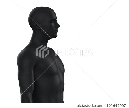 3D illustration of a male black torso on a white background. metal mannequin. 101649007