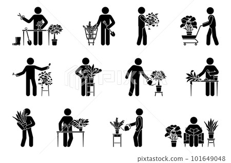 Stick figure male planting home flower vector illustration set. Stickman person taking care of houseplant icon pictogram Stick figure male planting home flower vector illustration set. Stickman person taking care of houseplant icon pictogram 101649048
