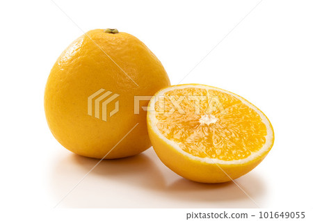 Citrus fruit, Biukan 101649055