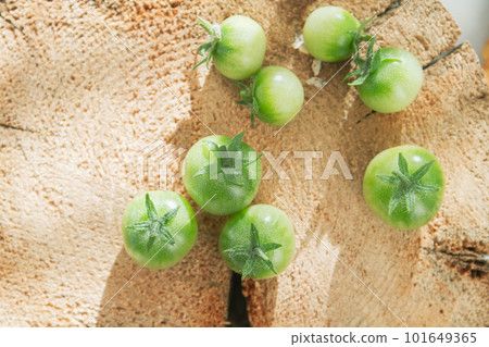 Green cherry tomatoes on wooden stump in bright rays of sun. Green cherry tomatoes on wooden stump in bright rays of sun. 101649365