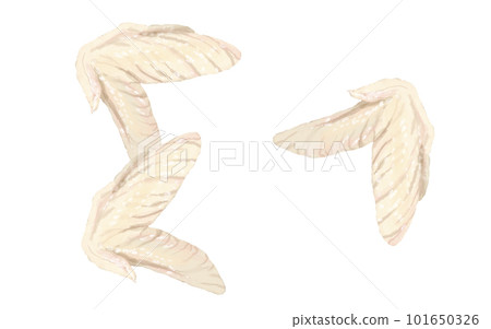 日常食物系列雞3雞翅 101650326