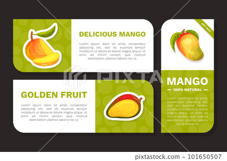 Ripe Mango Label Design with Bright Tropical Fruit Vector Template 101650507