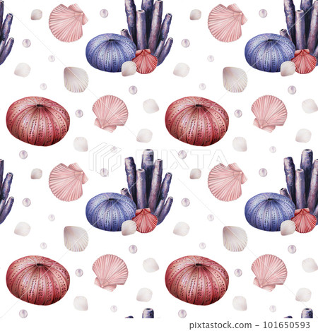 Watercolor seamless pattern with corals, urchin, shells and pearls. Hand painting clipart underwater life objects on a white isolated background. For designers, decoration, postcards, wrapping paper 101650593