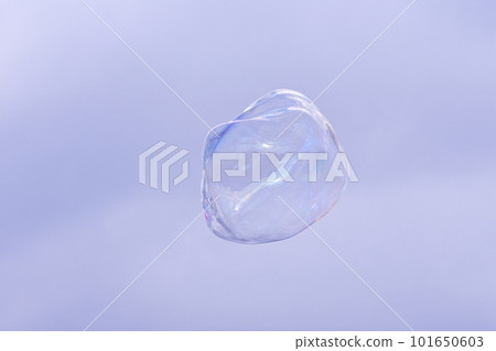 Soap bubble Soap bubble 101650603
