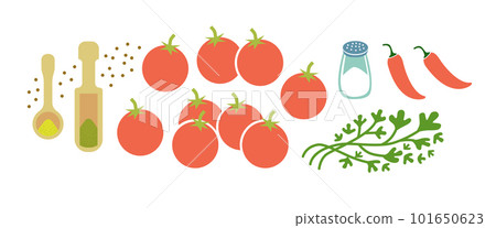 Satsebeli sauce fresh ingridients set. Tomato sause making. Flat vector illustration isolated on white background. 101650623