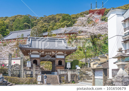 【23號不動所】春天藥王寺仁王門【四國88處】 【23號不動所】春天藥王寺仁王門【四國88處】 101650679
