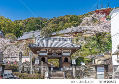 [No. 23 Fudasho] Spring Yakuoji Temple Niomon [Shikoku 88 places] 101650683