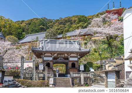 [No. 23 Fudasho] Spring Yakuoji Temple Niomon [Shikoku 88 places] 101650684