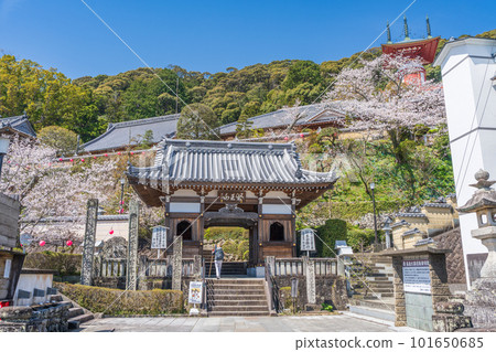 [No. 23 Fudasho] Spring Yakuoji Temple Niomon [Shikoku 88 places] 101650685