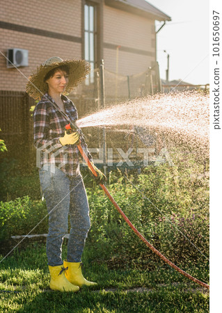 Woman gardener in work clothes watering the beds in her vegetable garden on sunny warm summer day. Concept of working in the garden and your farm Woman gardener in work clothes watering the beds in her vegetable garden on sunny warm summer day. Concept of working in the garden and your farm 101650697