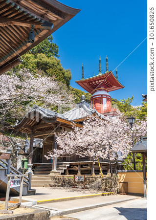 [No. 23 Fudasho] Spring Yakuoji Temple, Pilgrimage Tower [88 places in Shikoku] 101650826