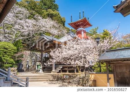 [No. 23 Fudasho] Spring Yakuoji Temple, Pilgrimage Tower [88 places in Shikoku] 101650827