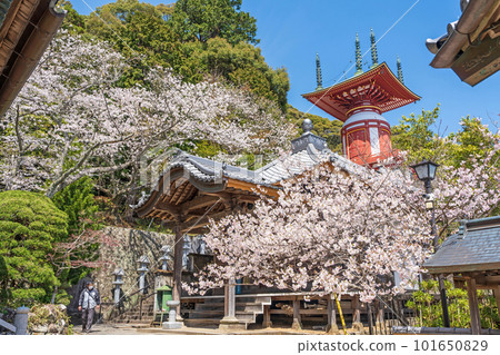 [No. 23 Fudasho] Spring Yakuoji Temple, Pilgrimage Tower [88 places in Shikoku] 101650829