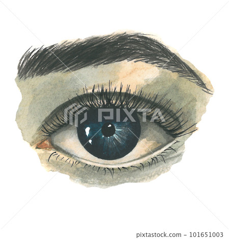 Eye, eyelashes and eyebrows on a colored background. Watercolor illustration on a transparent background made by hands Eye, eyelashes and eyebrows on a colored background. Watercolor illustration on a transparent background made by hands 101651003