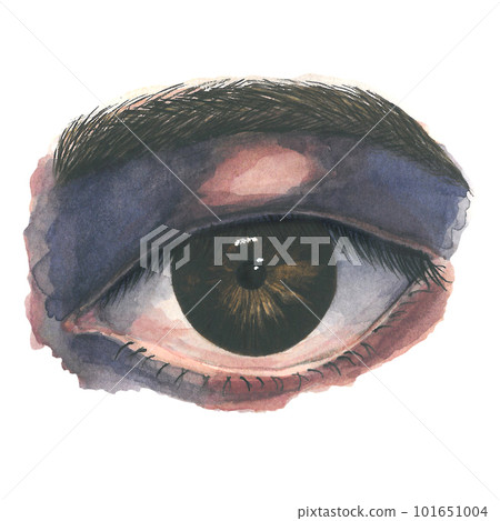 Asian eye with deep-growing eyelashes. Watercolor illustration on a transparent background made by hands Asian eye with deep-growing eyelashes. Watercolor illustration on a transparent background made by hands 101651004