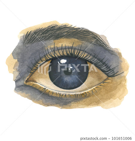 Watercolor eye on a transparent background, the illustration is made by hand Watercolor eye on a transparent background, the illustration is made by hand 101651006