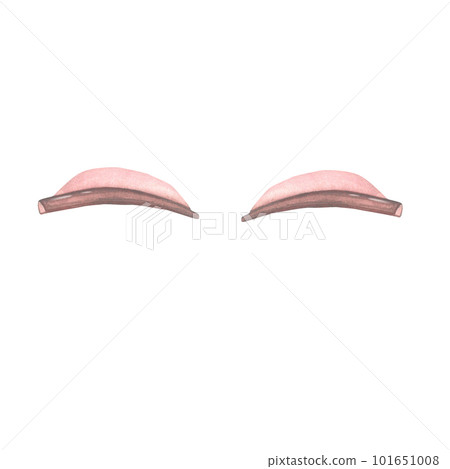 Silicone rollers for laminating eyelashes. The tool allows you to give the eyelashes a bend. The watercolor illustration is drawn by hand. Silicone rollers for laminating eyelashes. The tool allows you to give the eyelashes a bend. The watercolor illustration is drawn by hand. 101651008
