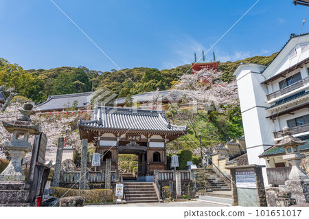 [No. 23 Fudasho] Spring Yakuoji Temple Niomon [Shikoku 88 places] 101651017