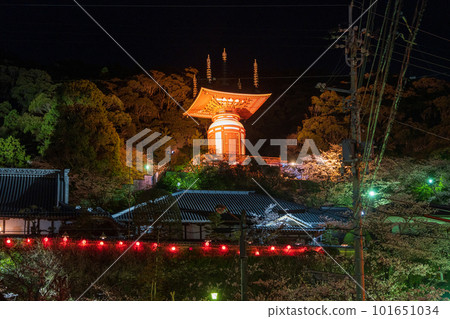 [No. 23 Fudasho] Yakuoji Pagoda Illuminated [Shikoku Eighty-eight Temples] 101651034