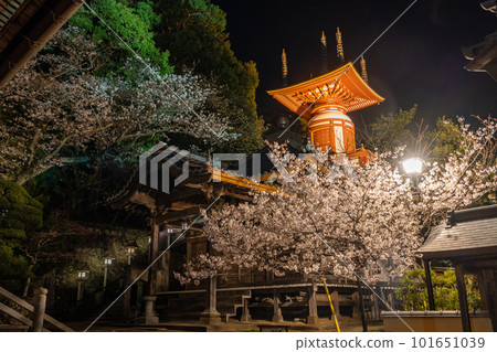 【No.23 Fudasho】藥王寺塔燈飾【四國八十八寺】 【No.23 Fudasho】藥王寺塔燈飾【四國八十八寺】 101651039