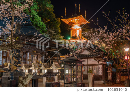 【No.23 Fudasho】藥王寺塔燈飾【四國八十八寺】 【No.23 Fudasho】藥王寺塔燈飾【四國八十八寺】 101651040
