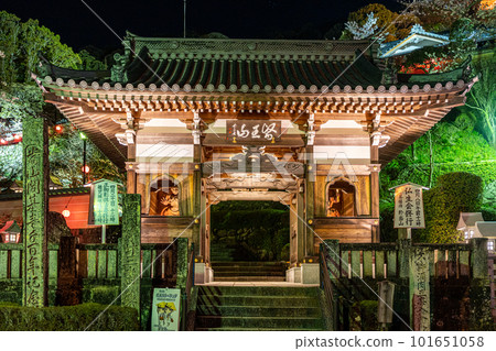 [No. 23 Fudasho] Yakuoji Niomon gate lit up [Shikoku 88 temples] 101651058