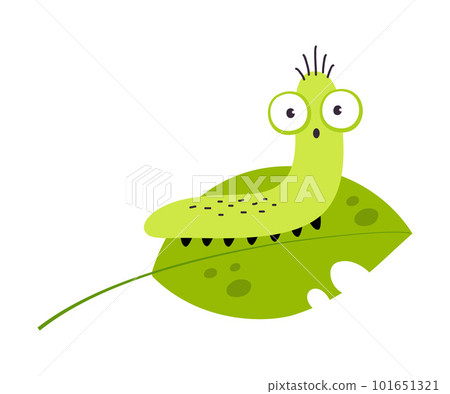 Green Caterpillar or Worm as Crawling Insect on Leaf Vector Illustration Green Caterpillar or Worm as Crawling Insect on Leaf Vector Illustration 101651321