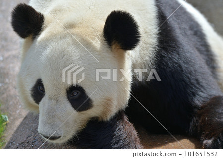 由濱沐浴放鬆 101651532