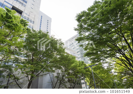 摩天大樓和新綠色辦公區的風景 101651549