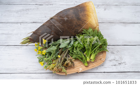 春季野生植物形象：竹筍、蕨菜、油菜花等。 101651833