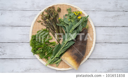 春季野生植物形象：竹筍、蕨菜、油菜花等。 101651838