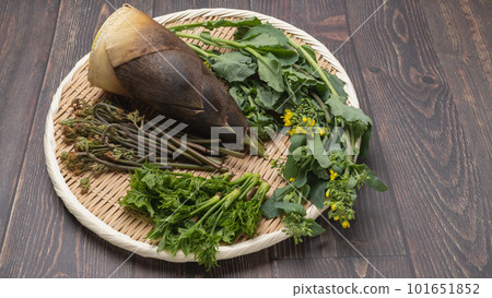 Image of wild plants in spring: bamboo shoots, bracken, rape blossoms, etc. 101651852