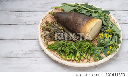 Image of wild plants in spring: bamboo shoots, bracken, rape blossoms, etc. 101651853