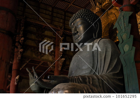 Buddha of Nara 101652295
