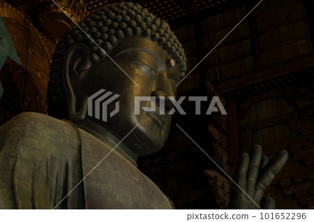 Buddha of Nara 101652296