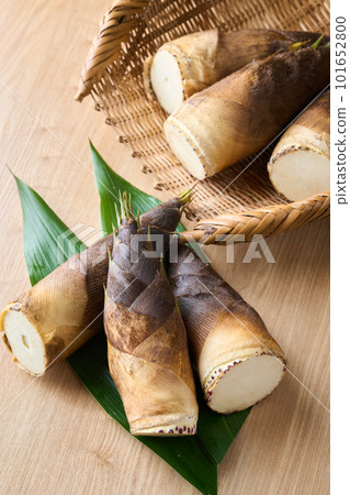 新鮮的竹筍 101652800