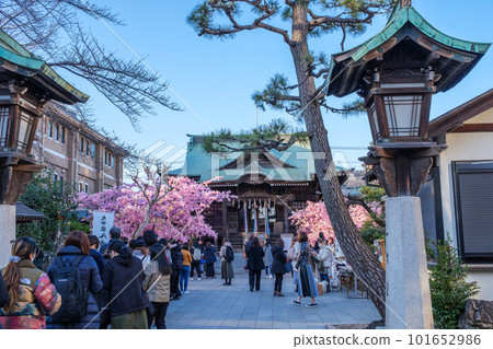 Sakura Jingu Shrine, Setagaya Ward, Tokyo, Bustling with Worshipers 101652986