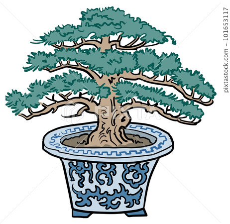 Pine bonsai 101653117