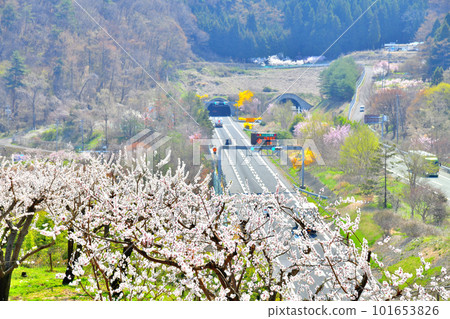 五里峰隧道入口周邊（長野縣千曲市）[2023.4] 101653826