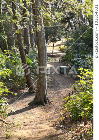 Kawaguchi Stroll: Shingo Shell Mound Saitama Prefectural Designated Historic Site Kawaguchi City Kawaguchi Stroll: Shingo Shell Mound Saitama Prefectural Designated Historic Site Kawaguchi City 101654031
