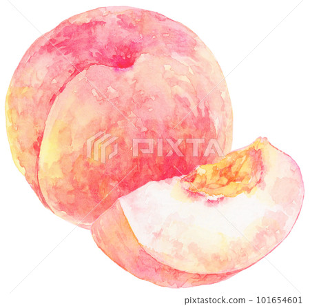 水彩畫的桃子插圖 桃子水果和桃子切成楔形 101654601