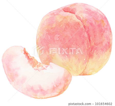 水彩畫的桃子插圖 桃子水果和桃子切成楔形 101654602