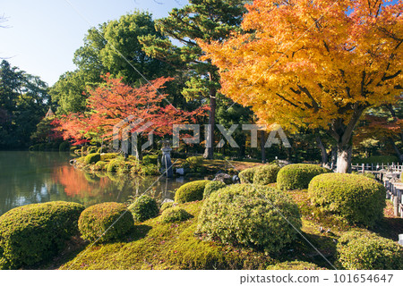 秋葉的Kenrokuen 秋葉的Kenrokuen 101654647