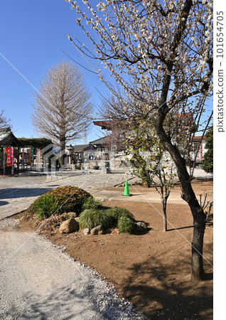 Kawaguchi Stroll: Soto Sect Ketsudenji Temple Precincts Higashihongo, Kawaguchi City Kawaguchi Stroll: Soto Sect Ketsudenji Temple Precincts Higashihongo, Kawaguchi City 101654705